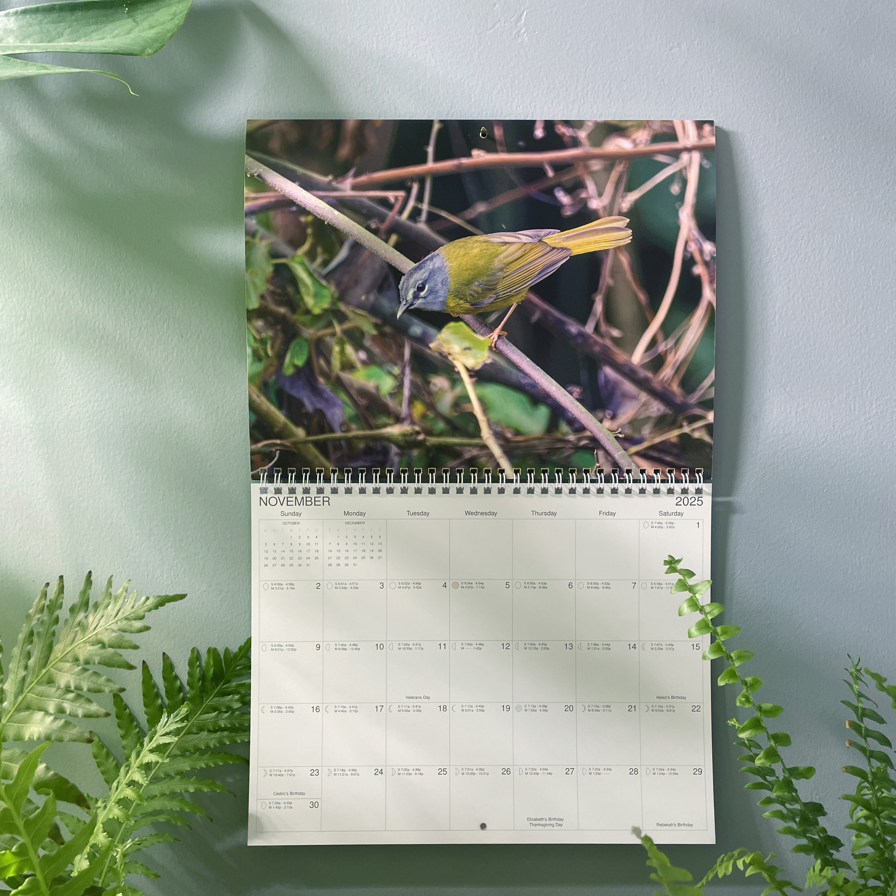 Placeholder for Calendar Design 3